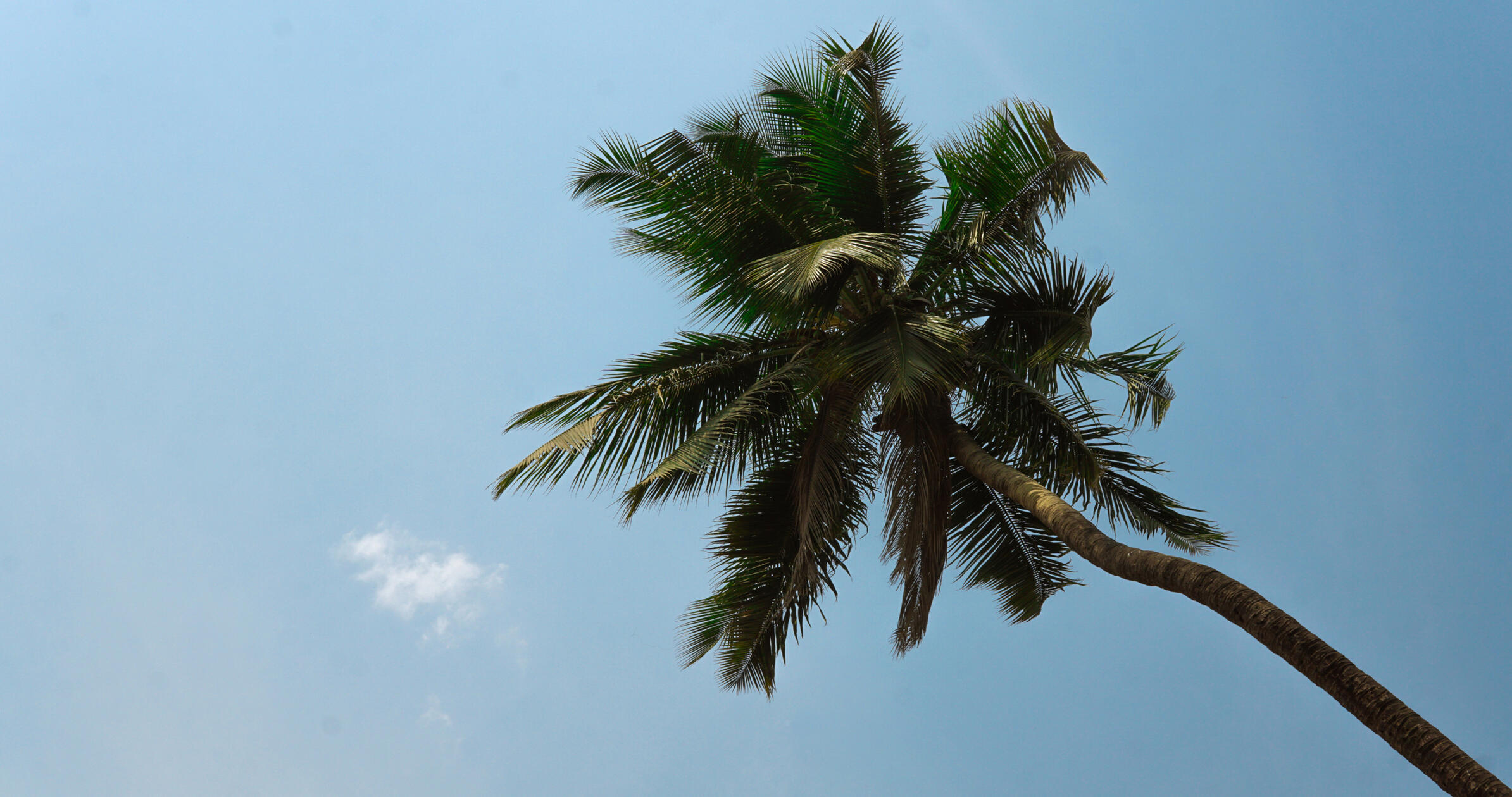 Call Me by Your Name